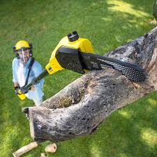 Best Utility Line Clearance  in West Pasco, WA