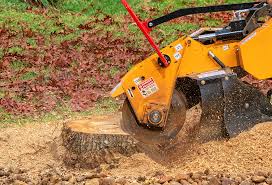 Best Lawn Pest Prevention  in West Pasco, WA
